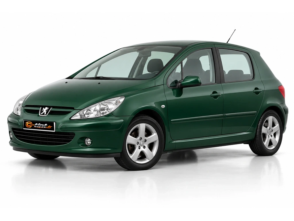 Peugeot 307 3***** — Génération 1 · Berline compacte · 5 portes — vue trois-quarts avant vers la gauche